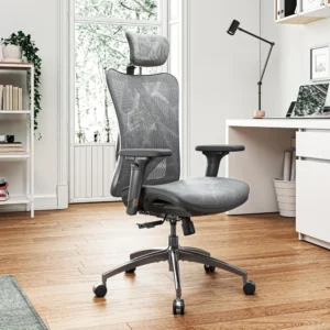 Ergonomic Office Chair with Adjustable Headrest, Lumbar Support & 3-Way Armrests